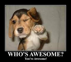 WhoIsAwesome.jpeg