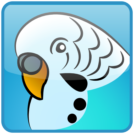 Budgie