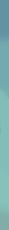JellyfishBorder1.png