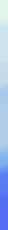 JellyfishBorder2.png