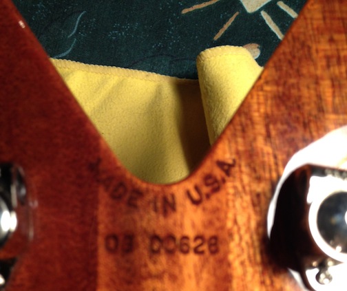 DTCZHeadstock.JPG