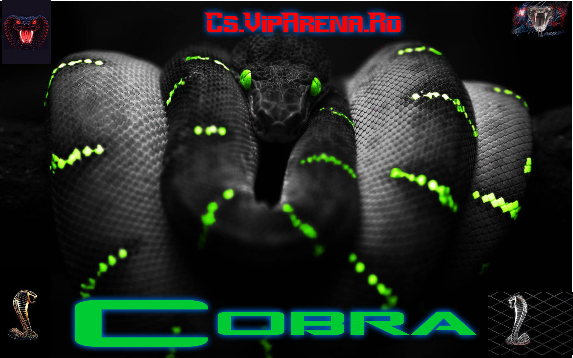 pizap.com14318557898561.jpg
