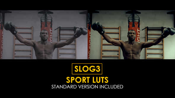 40755951-slog3-sport.jpg