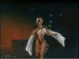 v
