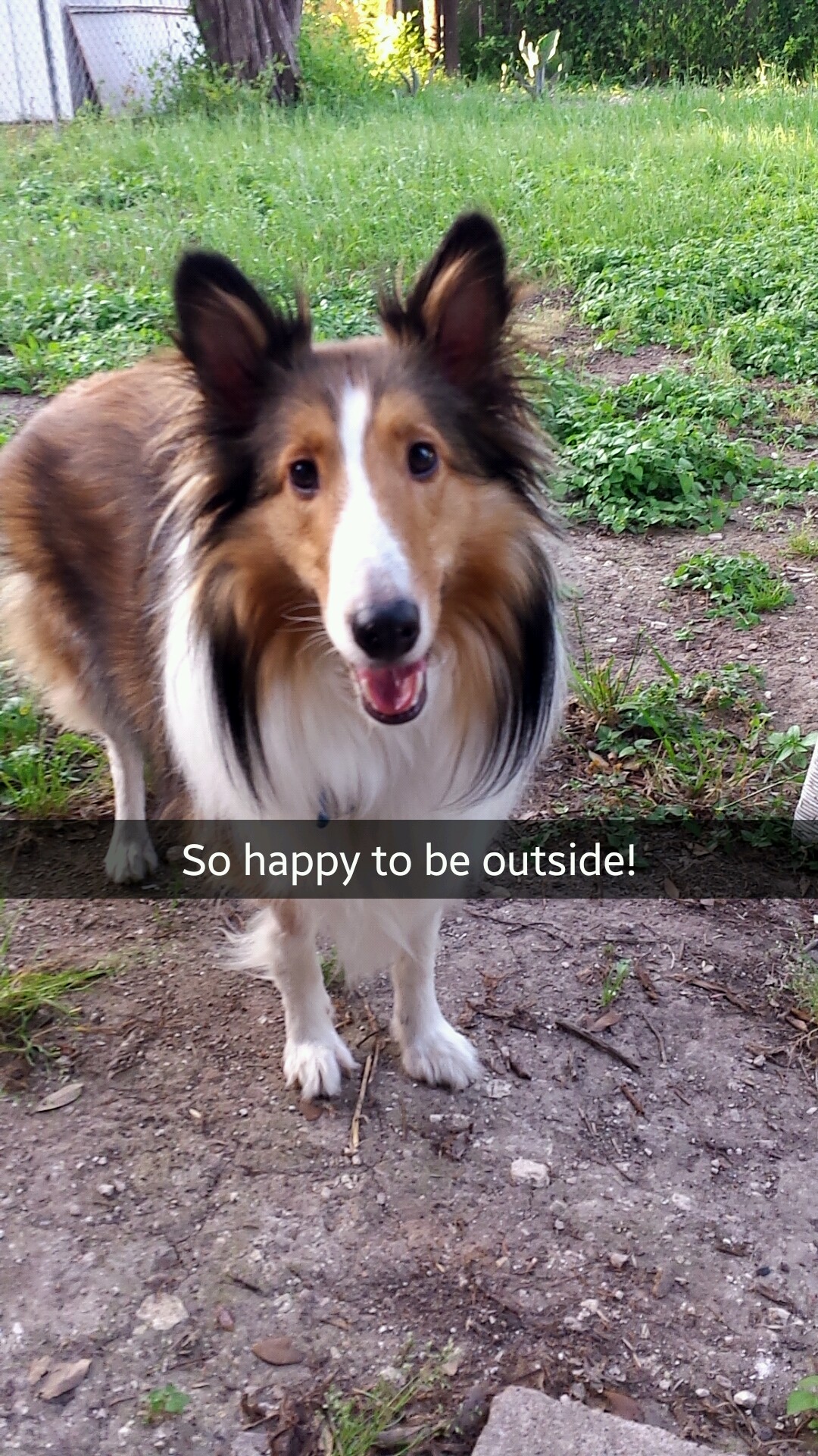 Barkley