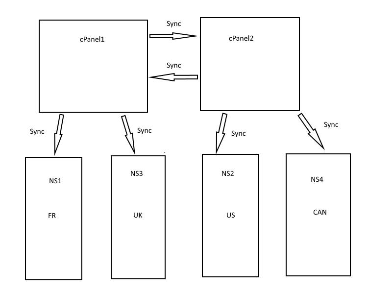 dns_layout.png