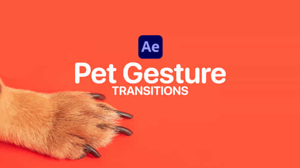47367361-pet-gesture.jpg