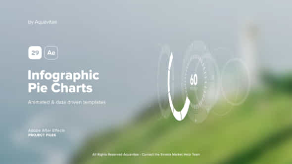 39699110-infographic-pie.jpg