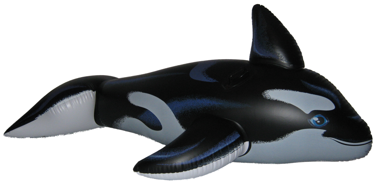 inflatable_intex_orca_2008_by_seaworldbelieveshamu-d4mbey3.png