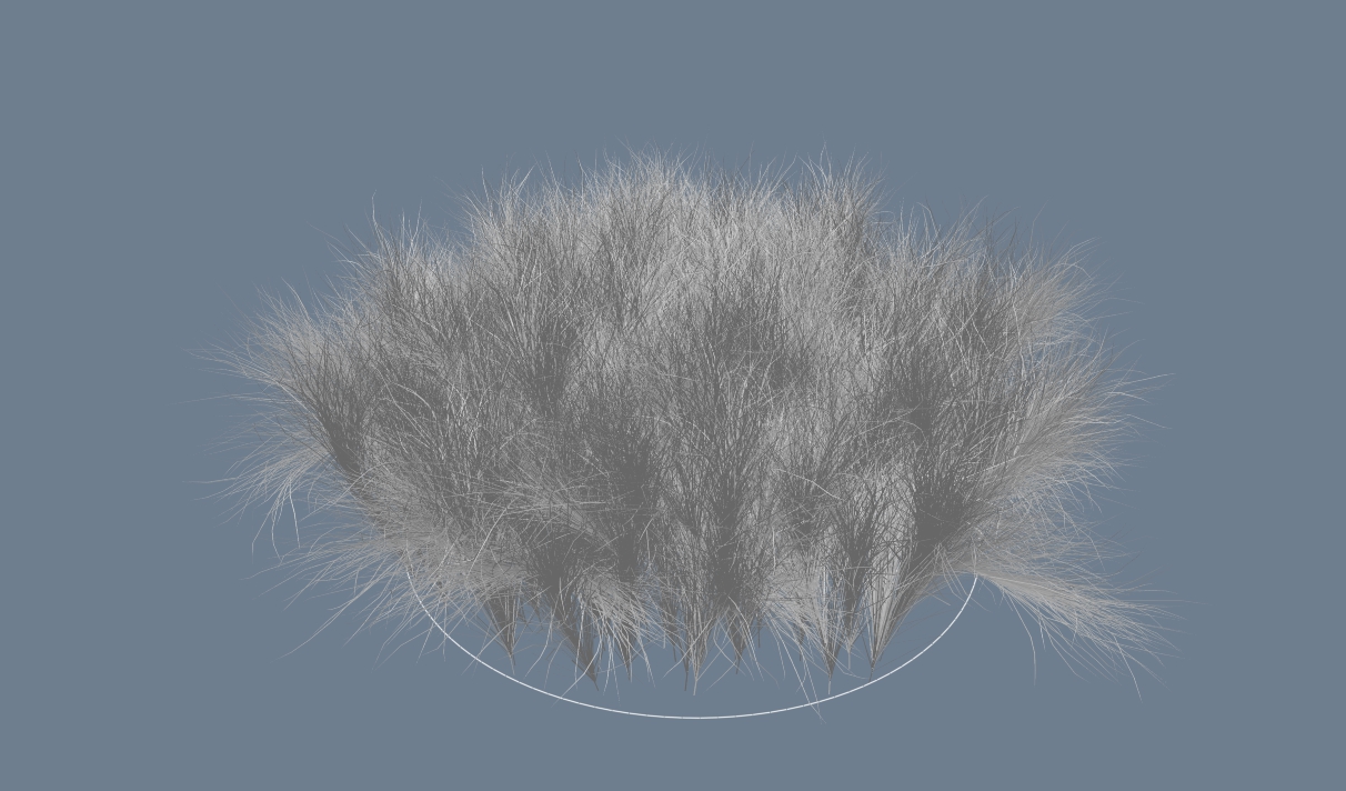 grass.jpg