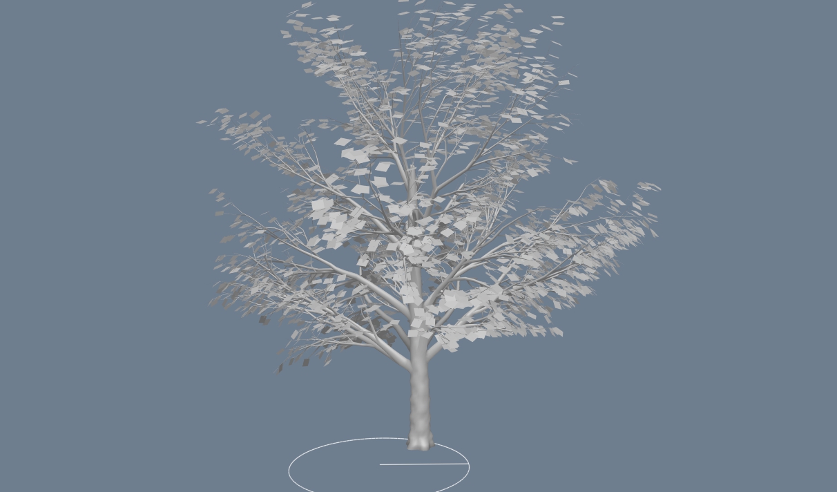 tree1.jpg
