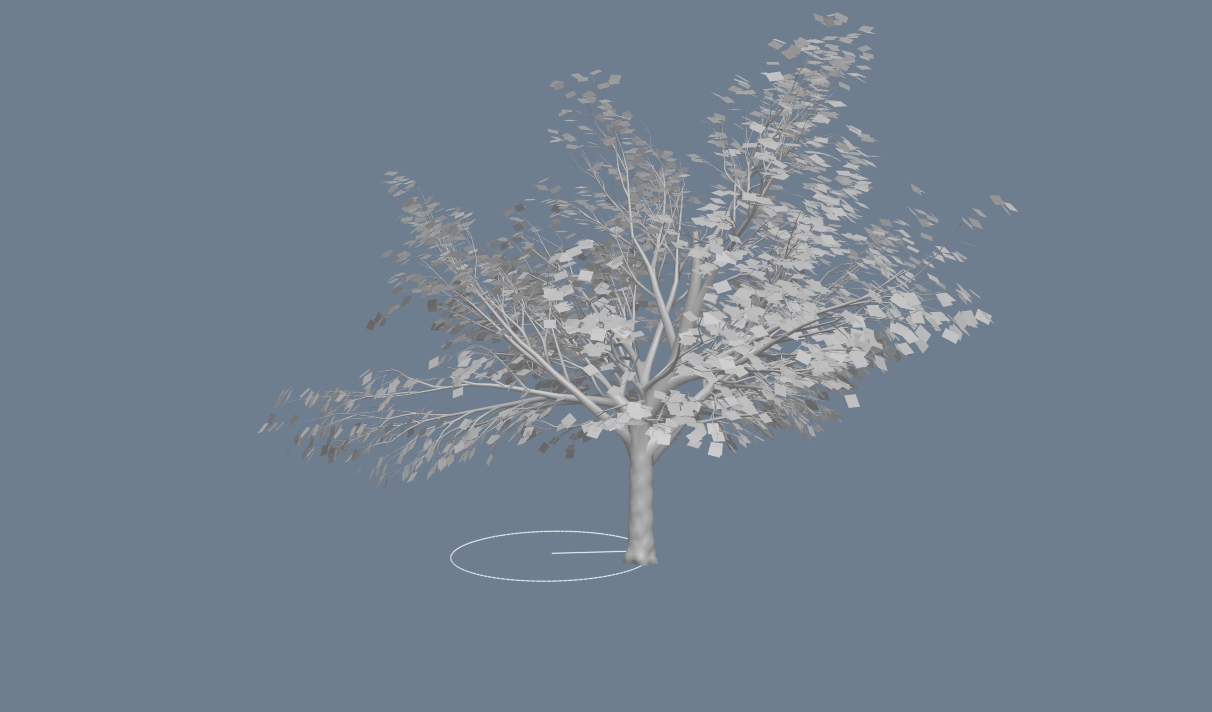 tree4.jpg