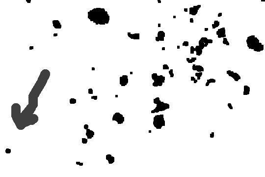 maskmarked.jpg