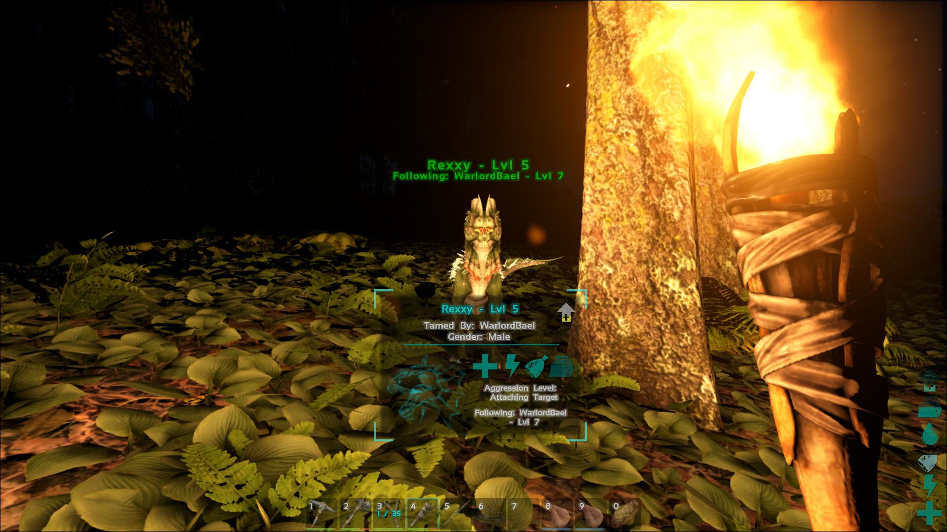 Baels pet