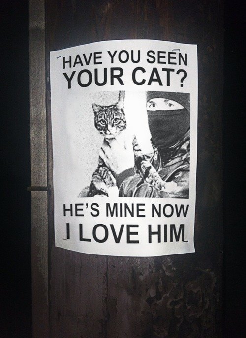 Allyourcatsarebelongtous.jpg