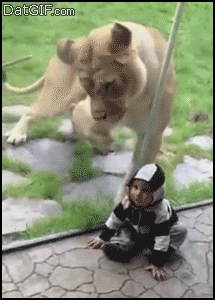 1428204513111.gif