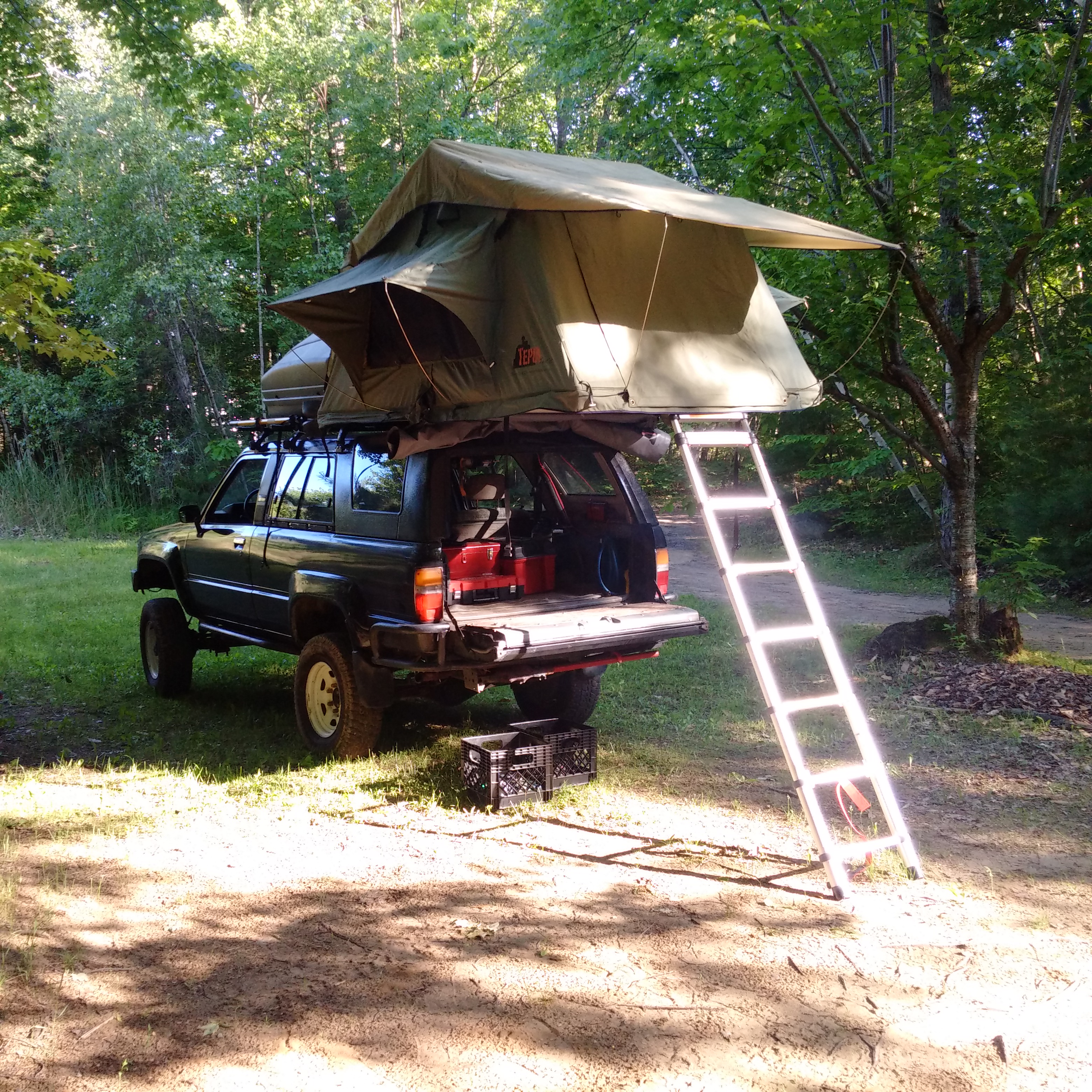 IMG_20150606_180355.jpg