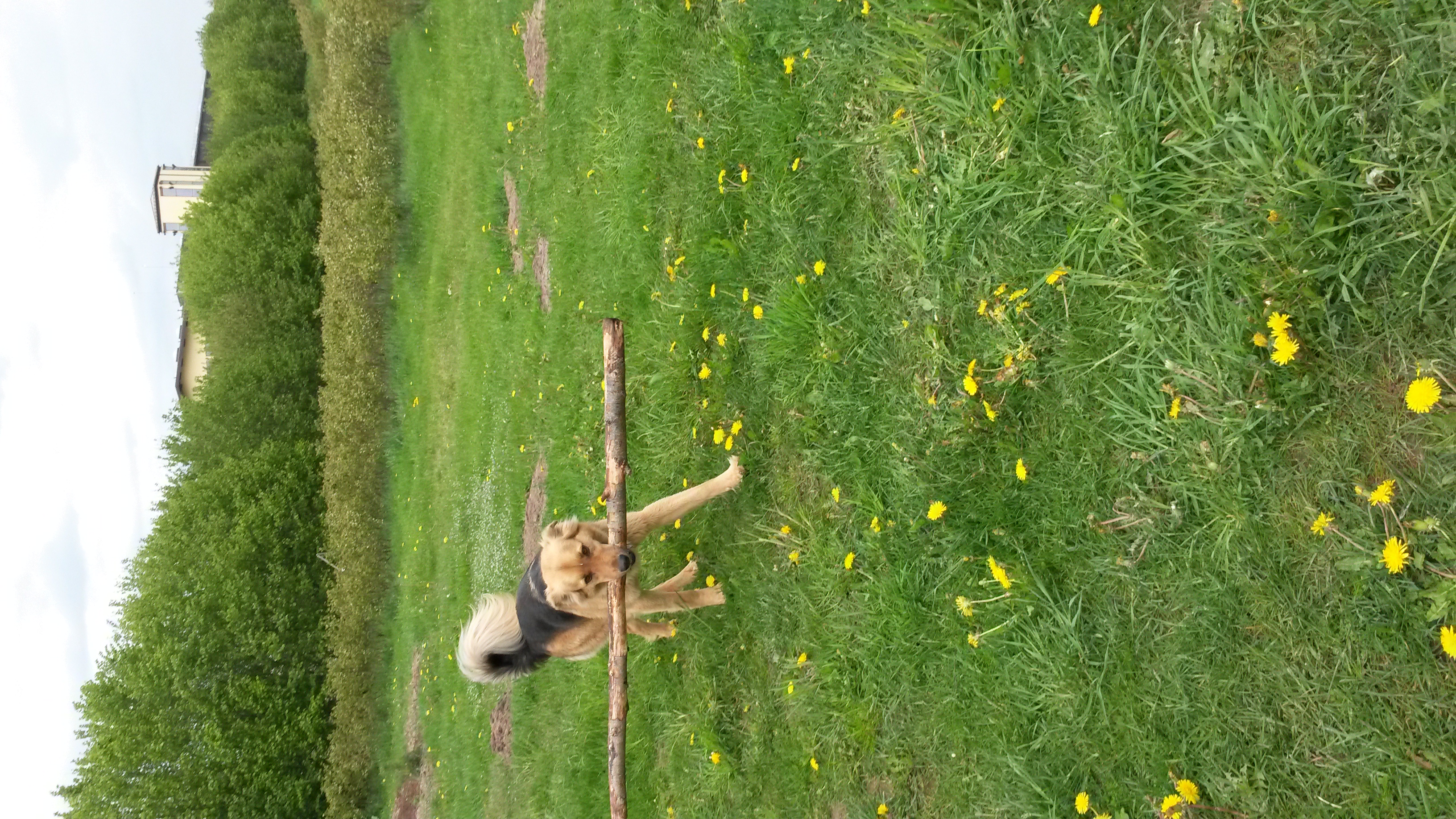 20150523_1427591.jpg