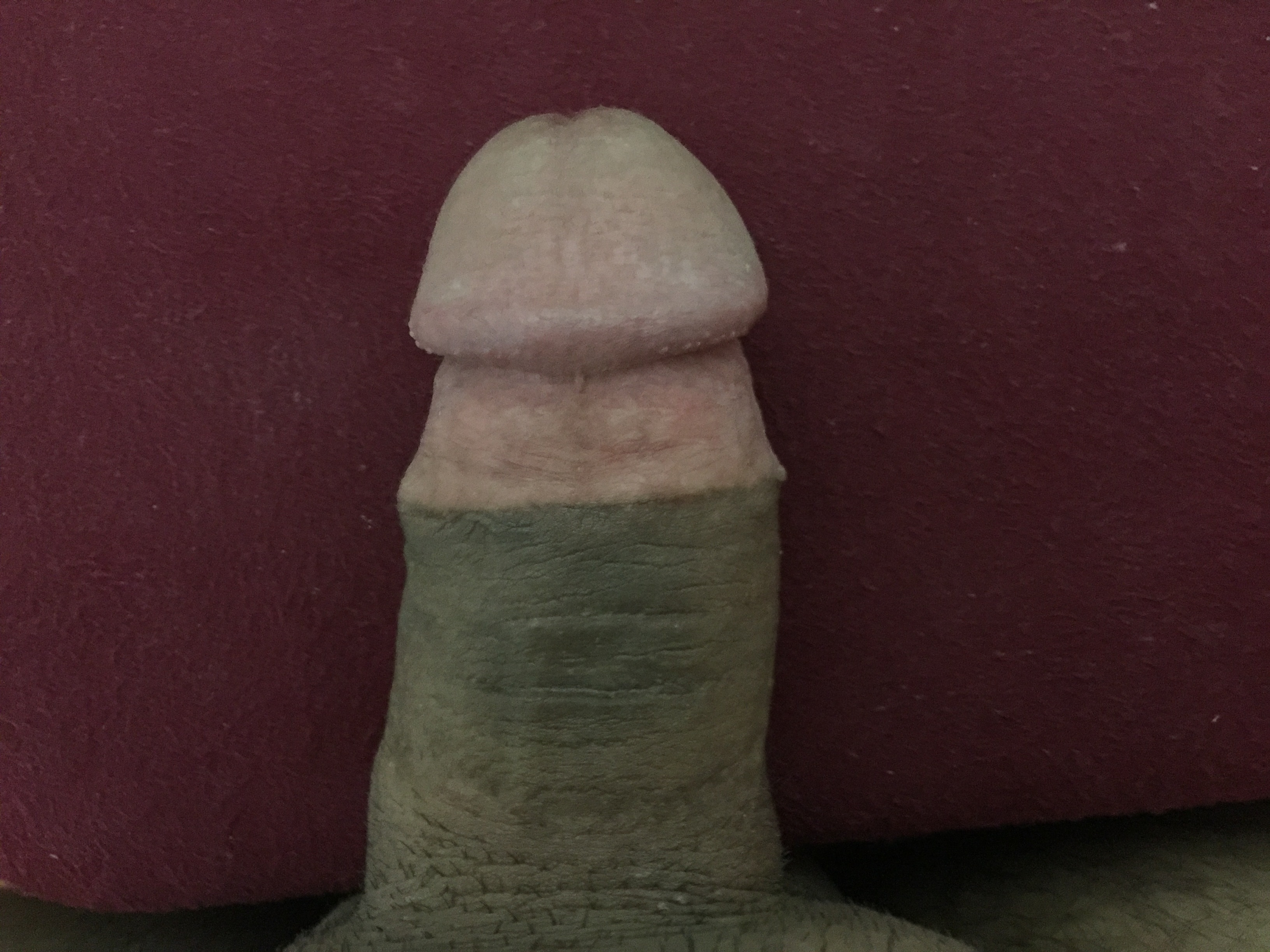 image.jpg