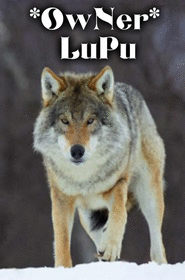 output_KRG0Hd.gif