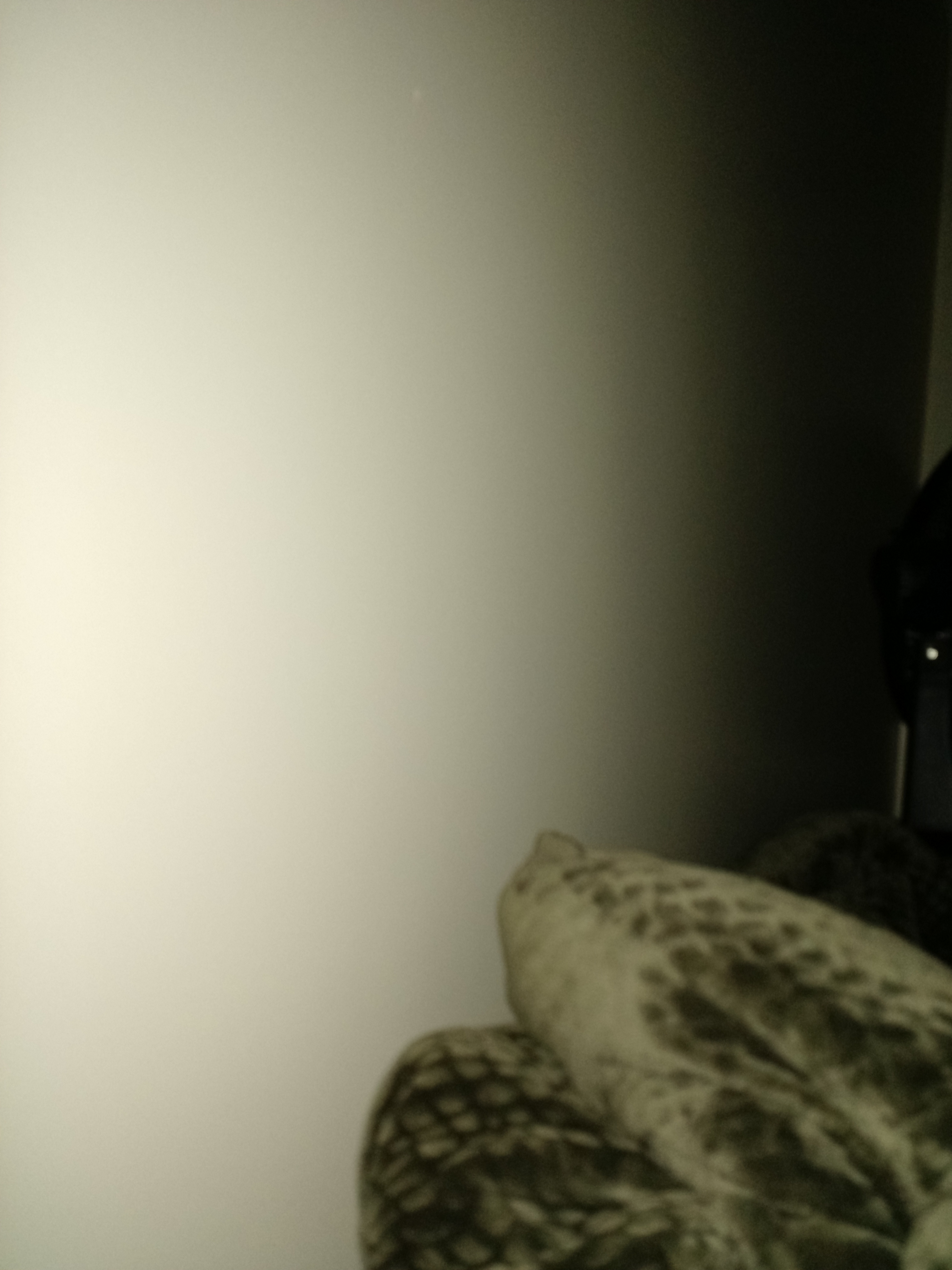 1434331744947-268303527.jpg
