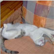 Image21.png