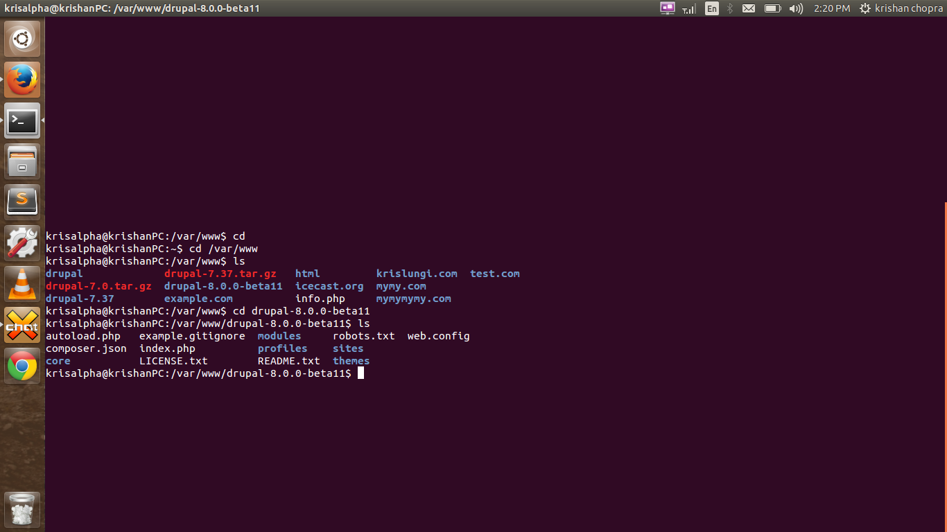 drupal8