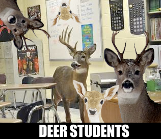 Deer Students