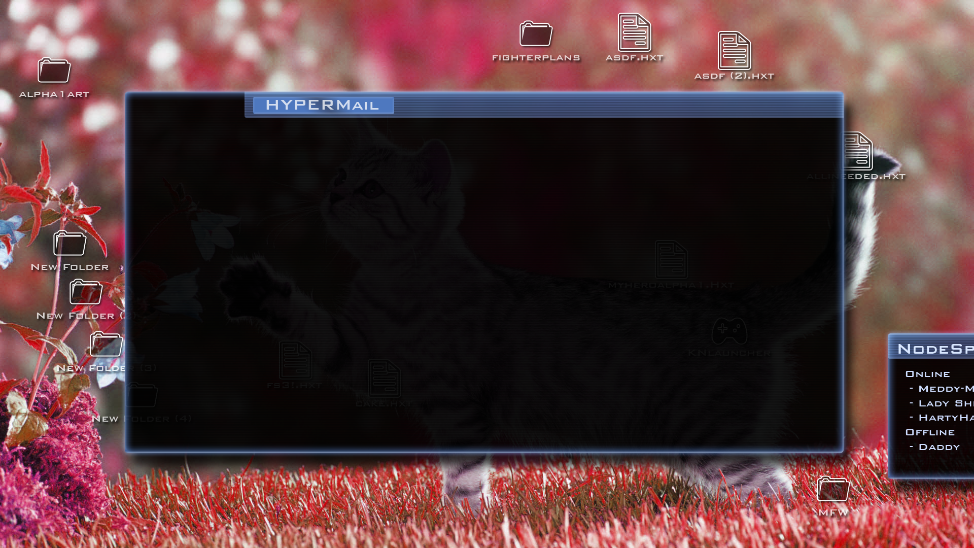 vn_holleymail.png