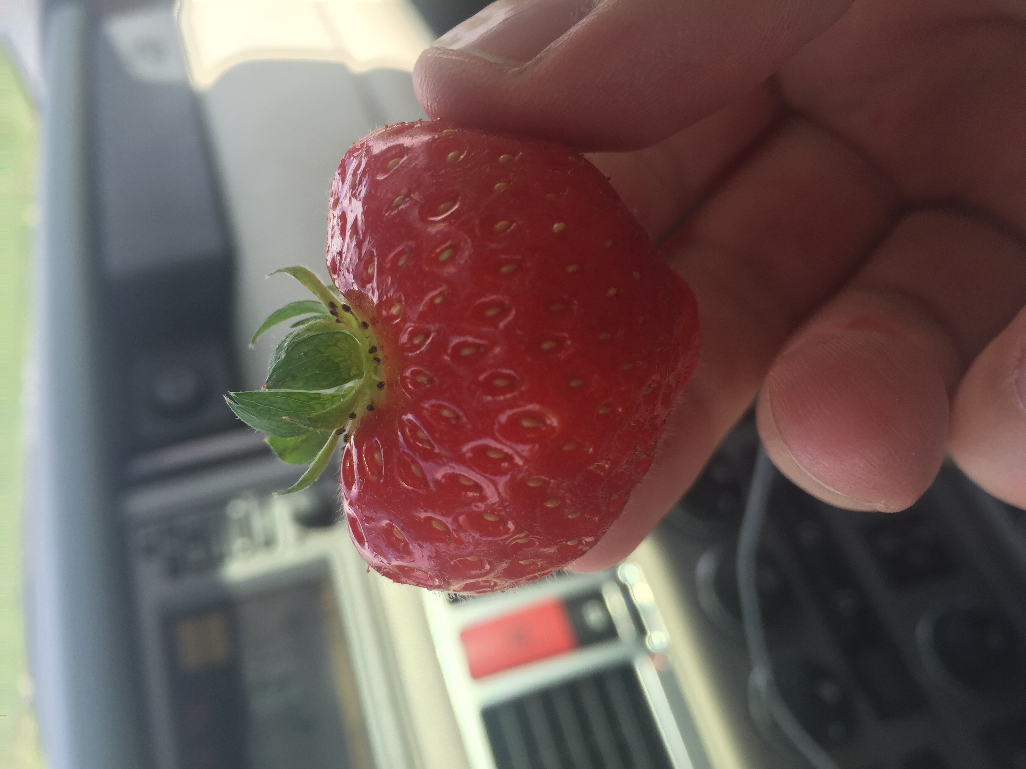 image.jpg