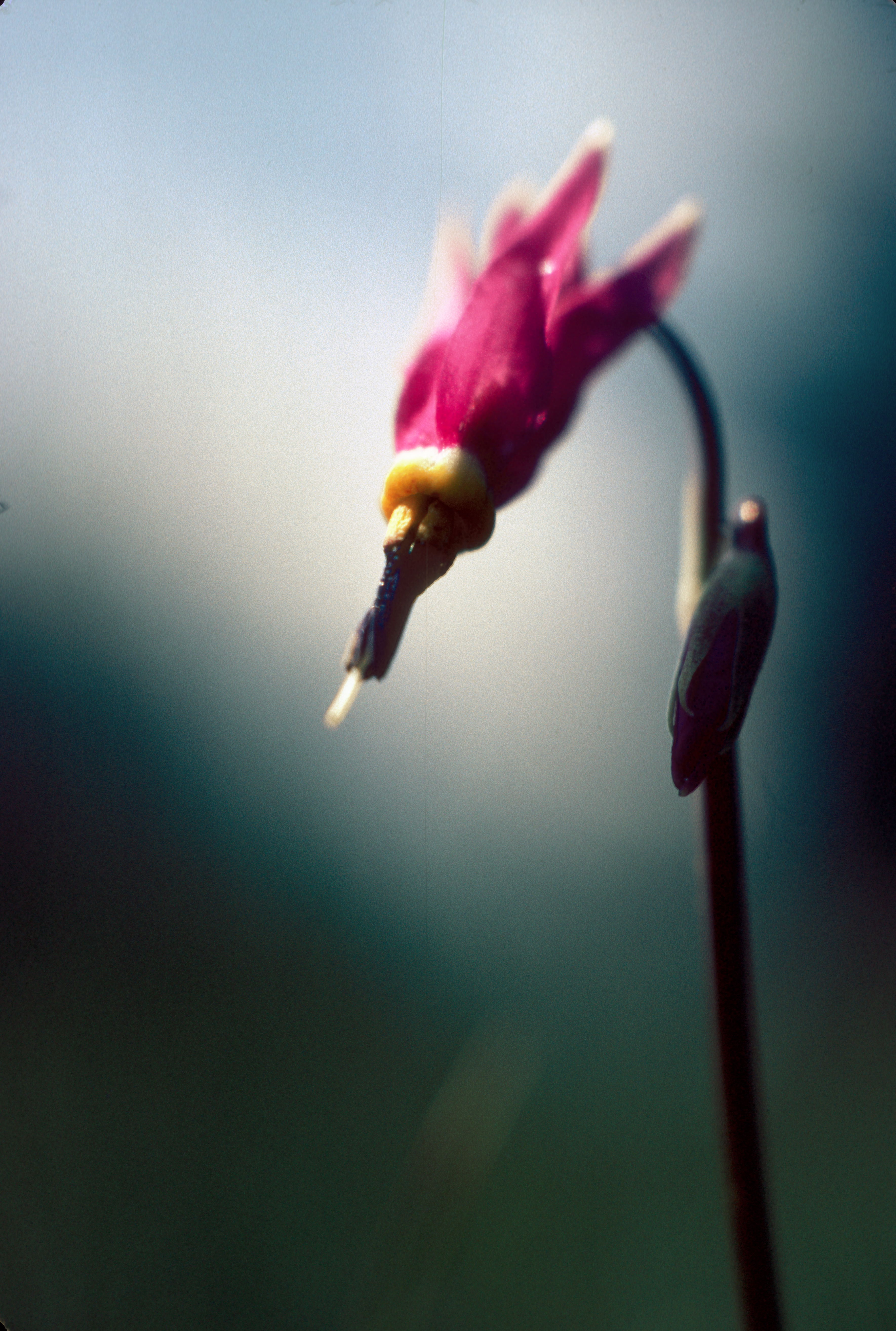 Image123.jpg