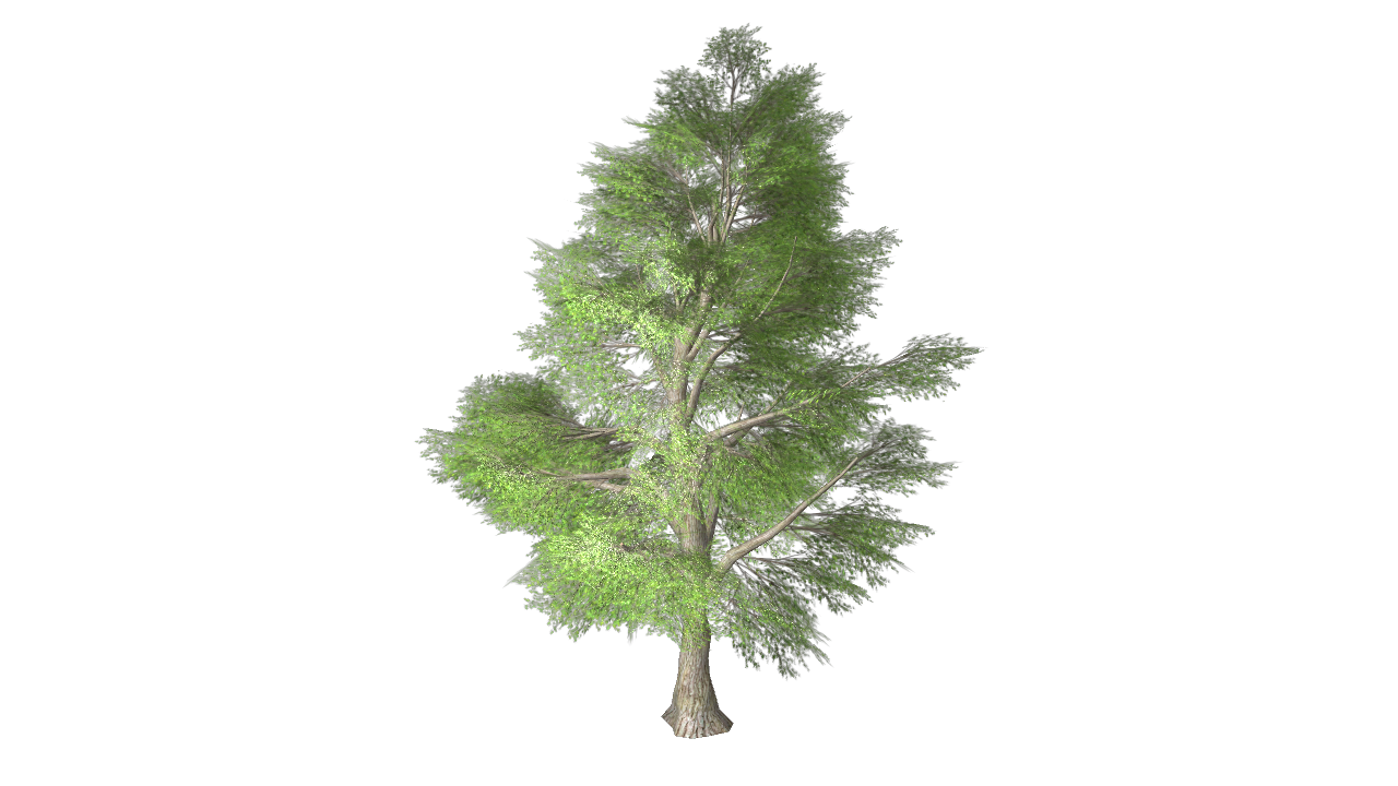 5_tree_v1.png