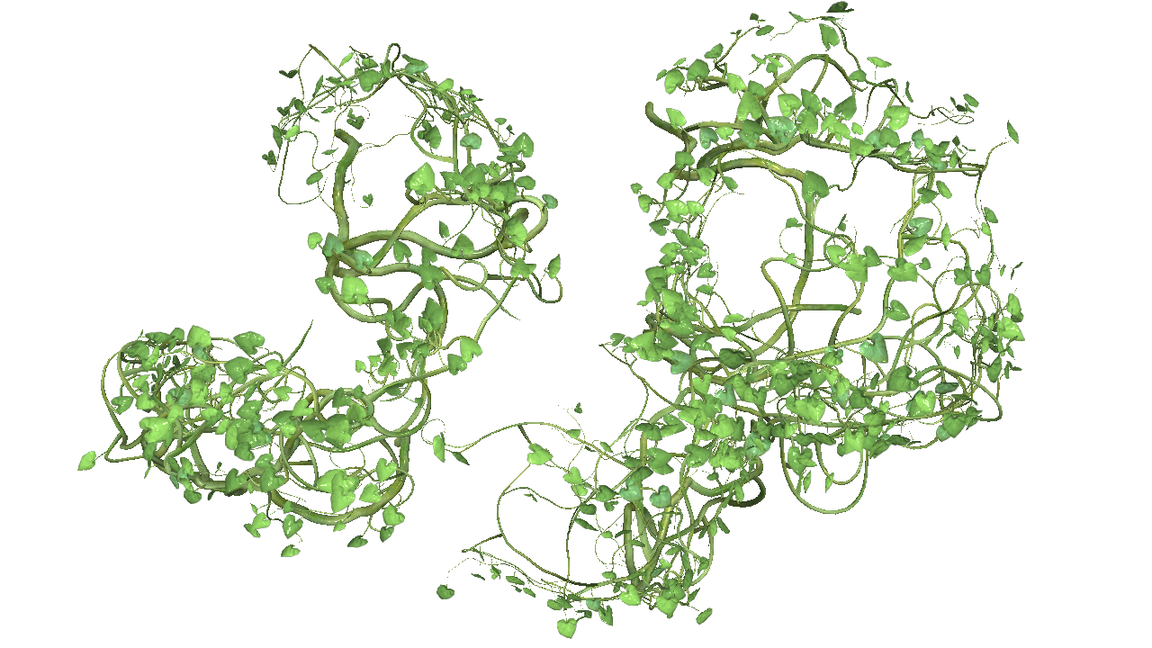7_vines.png