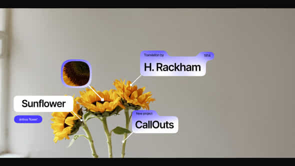 59651754-callouts.jpg