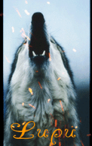 ezgif.com-resize.gif