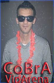 vok.gif
