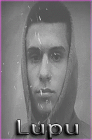 0.gif
