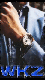 31.gif