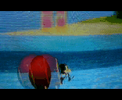GM_20150721_92450.gif