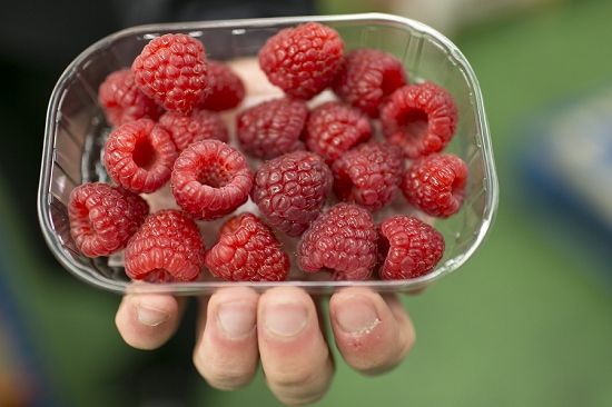 550x366xfruit-and-vegetable-market-report-june-2015-raspberries.jpg.pagespeed.ic.sjmwmsYYDY.jpg
