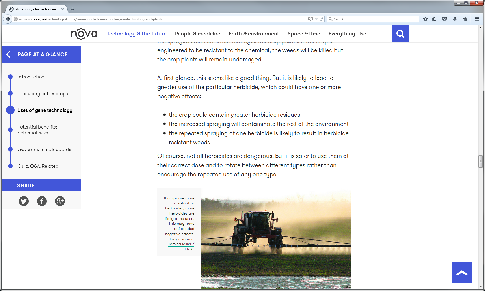 page-at-a-glance.png
