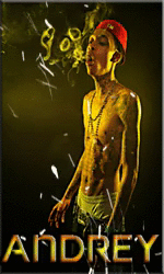 5.gif