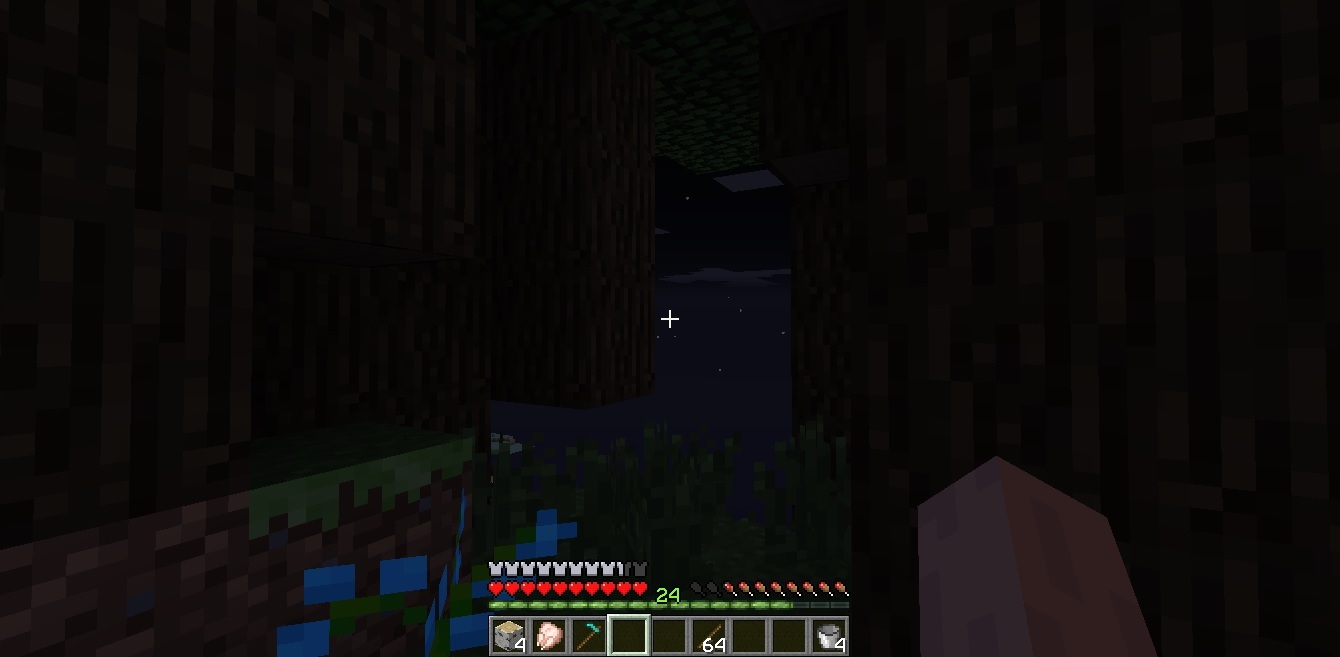 Minecraft