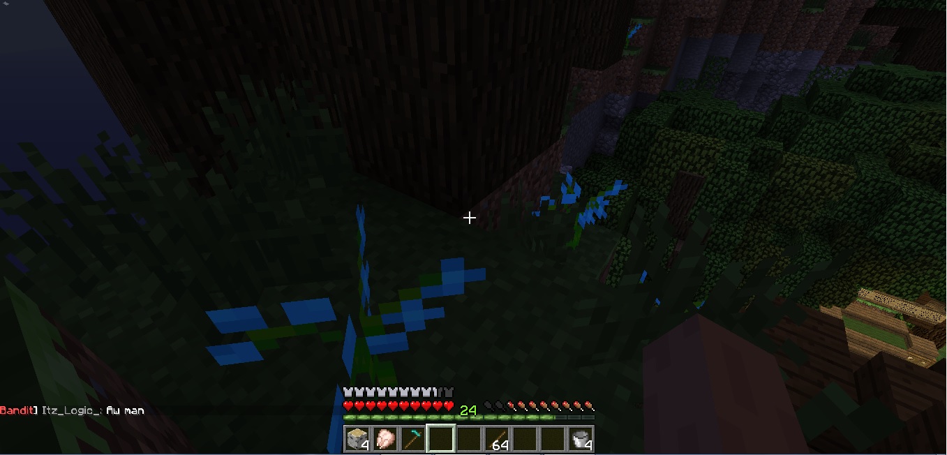 Minecraft