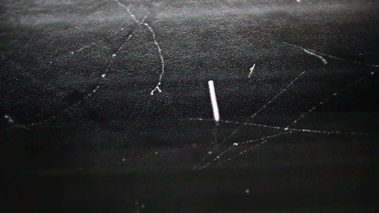 phywe-1_000000629.png