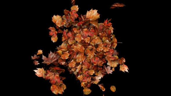 59558132-autumn-leaves.jpg
