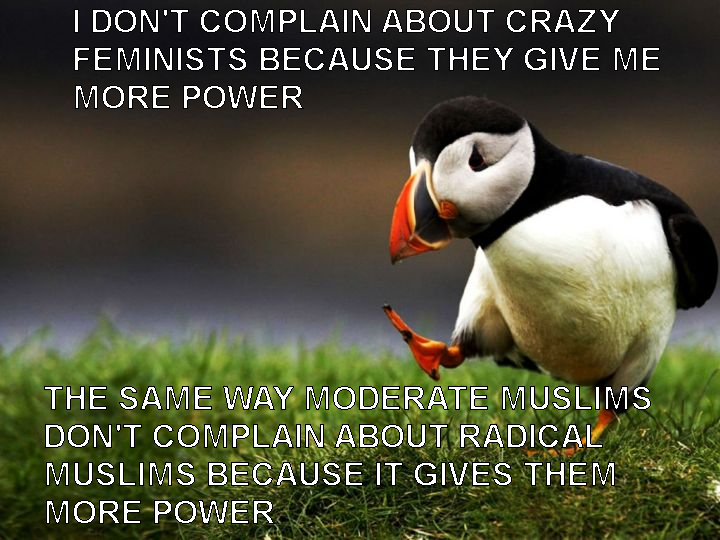 I DON'T COMPLAIN ABOUT CRAZY FEMINISTS BECAUSE...