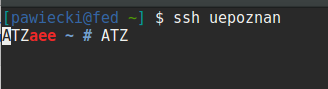 suddenly wild ATZ appeared in terminal