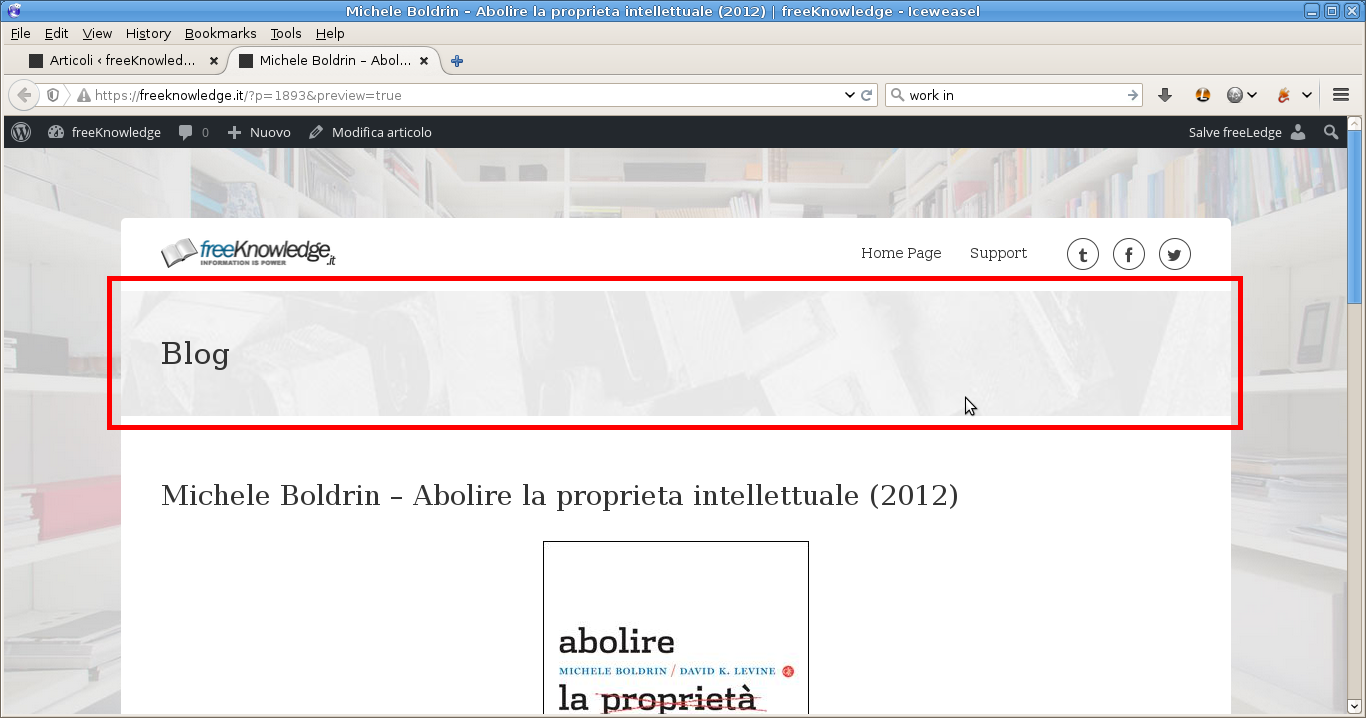 Screenshot-MicheleBoldrinAbolirelaproprietaintellettuale2012freeKnowledge-Iceweasel.png