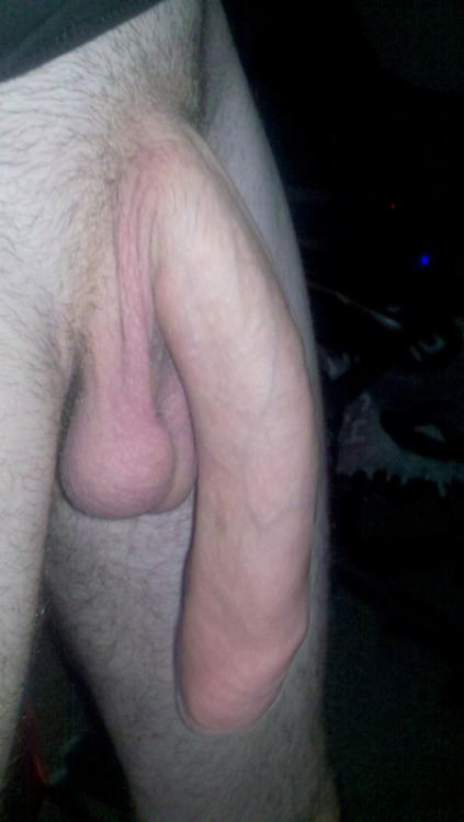 tumblr_mxif5nejSl1t68agpo5_500.jpg